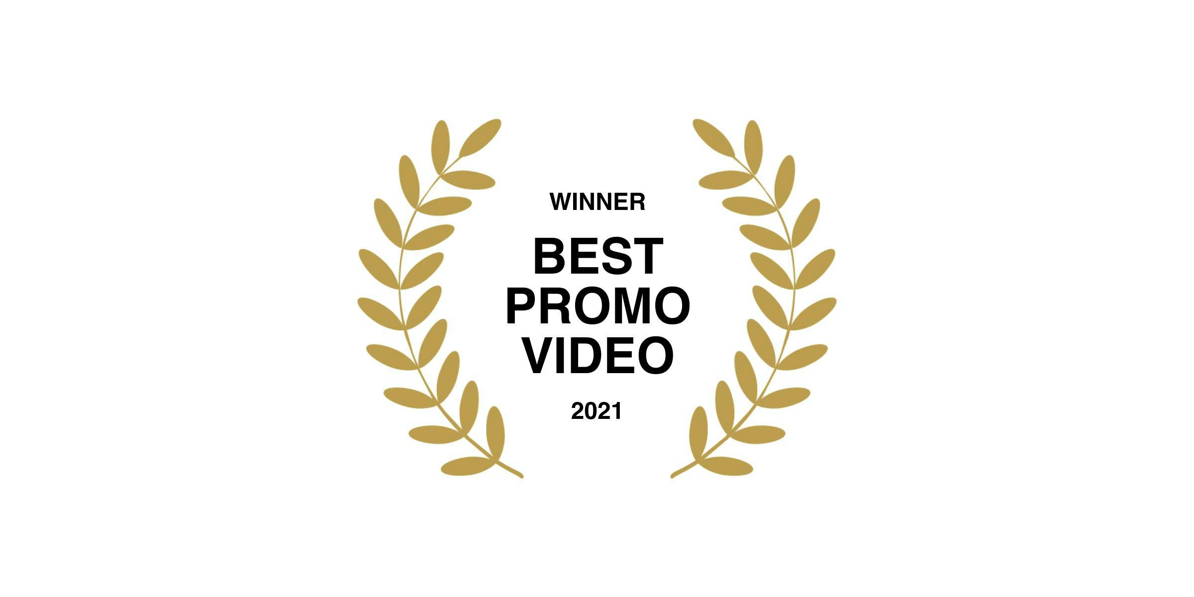 Best Promo Video 2021